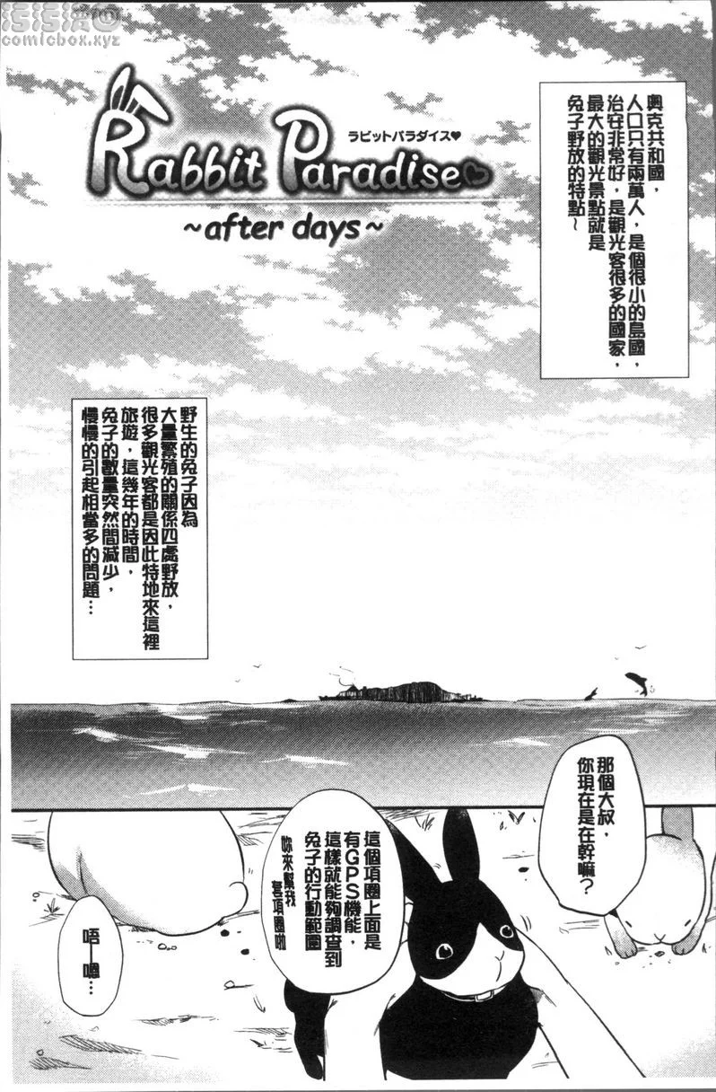 Rabbit Paradise