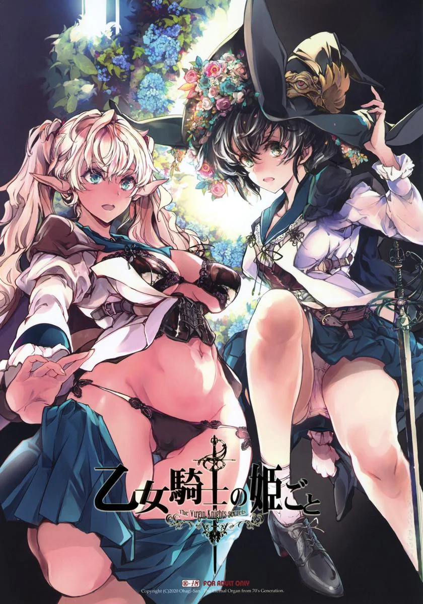 少女騎士之秘密