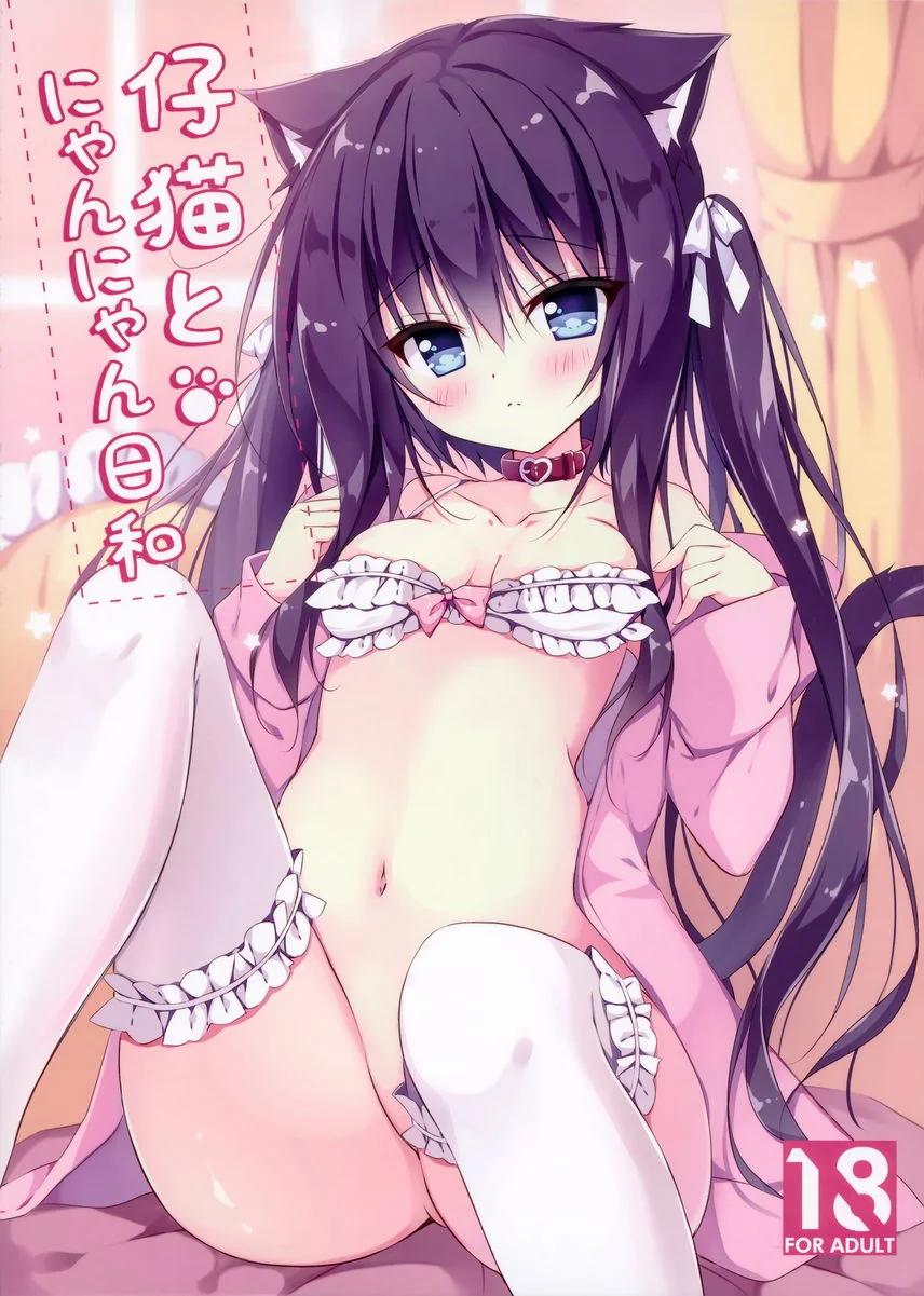 幼貓與喵喵日和