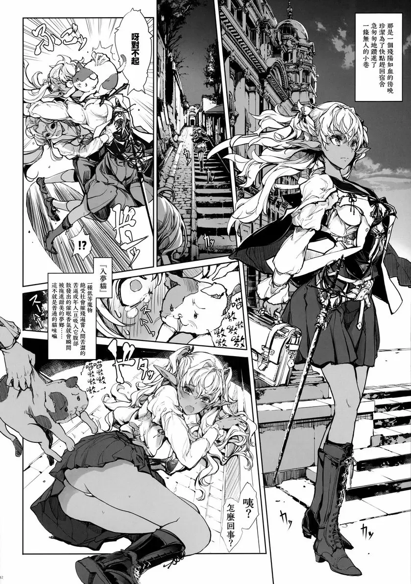 [禁漫] 少女騎士之秘密 少女騎士之秘密 10