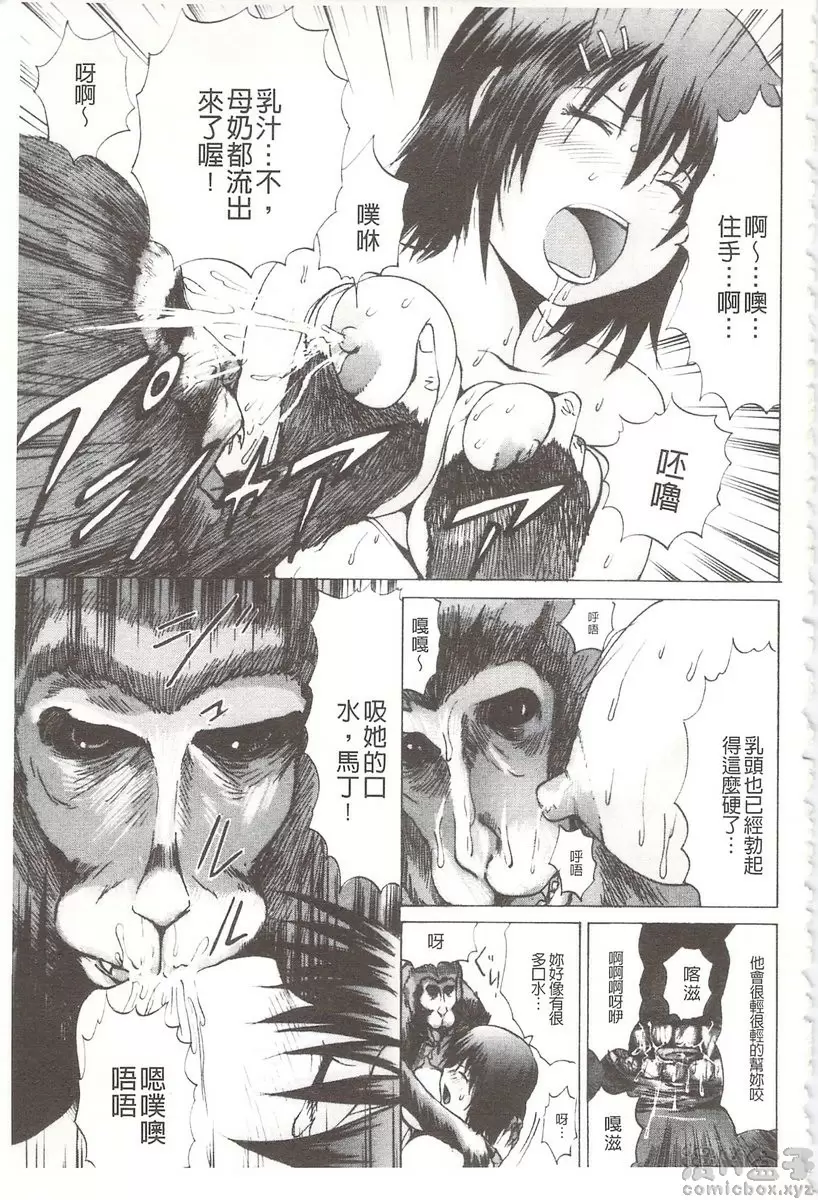 [H漫] 被玩弄菊穴的女明星 vol.7 当心猴子 8