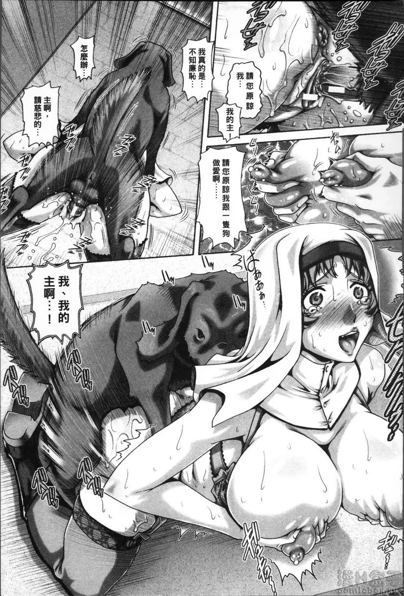 [禁漫] 兽爱姦通 vol.7 使徒之堕 16