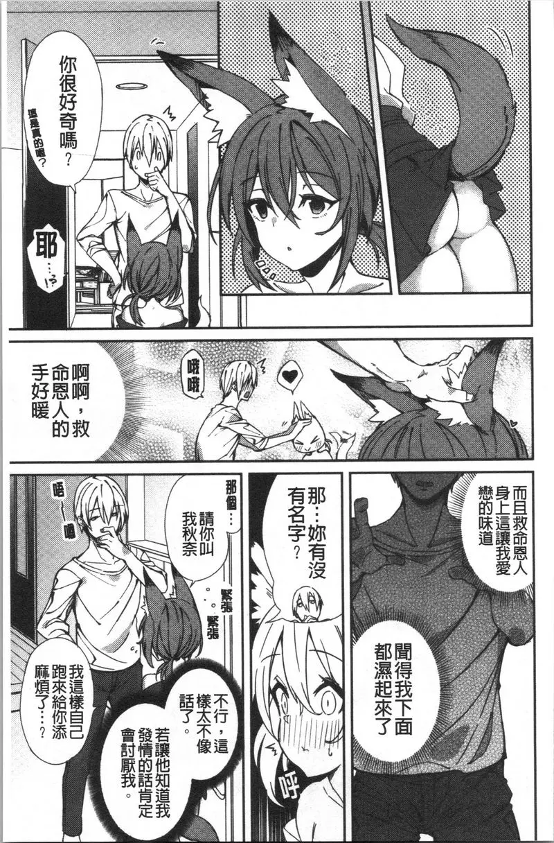 [禁漫] No Fuck No Life 這樣的狐狸報恩？ 2